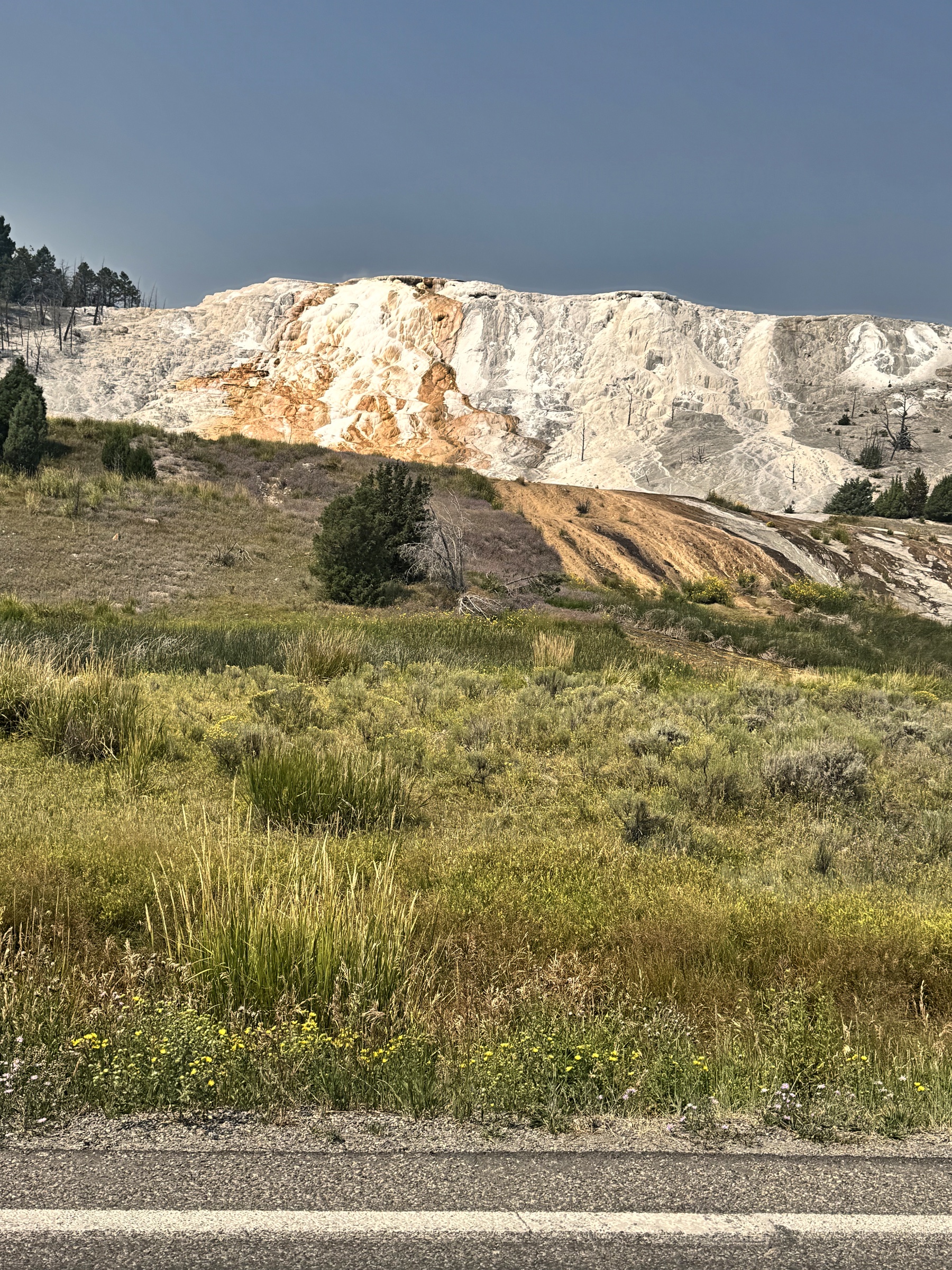 Mammoth Hot Springs terraces in Yellowstone
